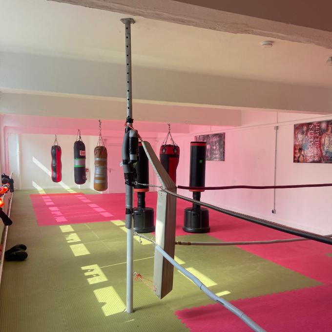 Boxtraining. Foto: Doppelhaus Boxtraining. Foto: Doppelhaus