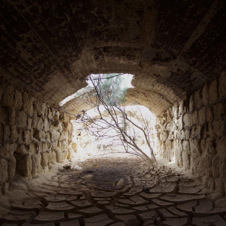 The Devil's Garden