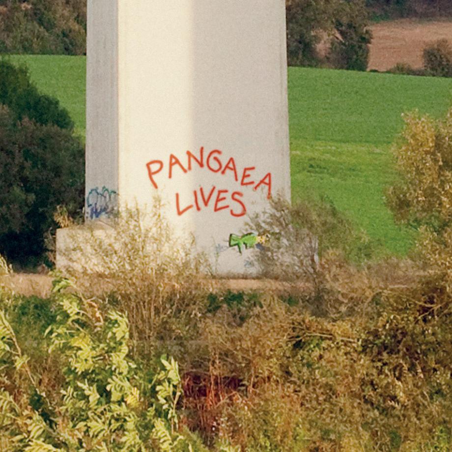 Pangaea lives