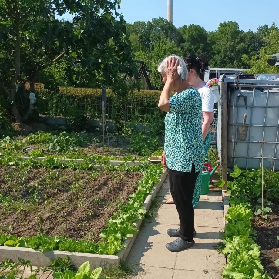 Urban Gardening: Gemüseanbau im Essener Norden geht voran. Foto: Hatice Cil, Butterfly e.V.