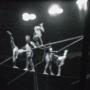 Circo Togni, Filmstill